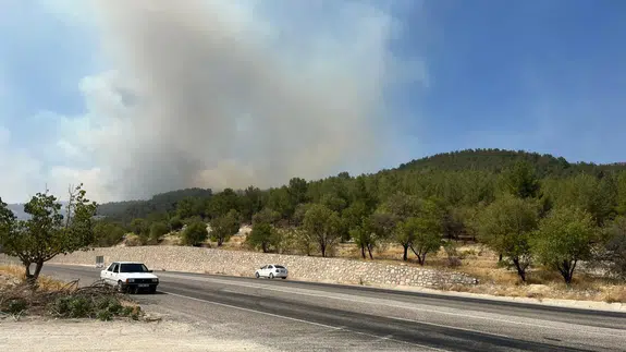 Adıyaman’da orman yangını! Ekipler müdahale ediyor
