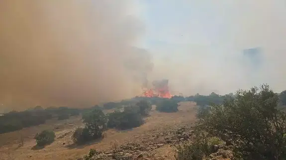 Balıkesir'de orman yangını: Ekipler müdahale ediyor