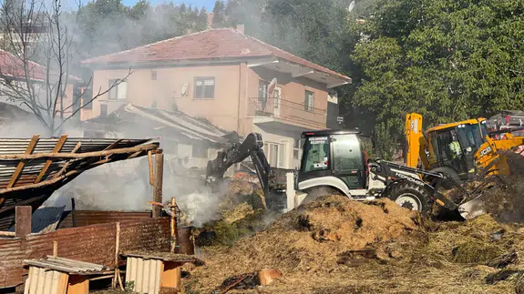 Ankara'da besi çiftliği yanarak küle döndü!