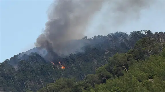 Kundakçıların zamanlama hatası daha büyük bir faciayı önledi!