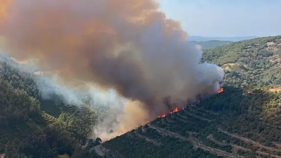 Balıkesir'de kaza yapan araçta başlayan yangın ormanlık alana sıçradı!