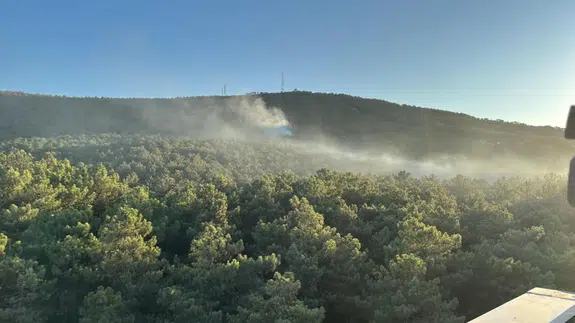 Ataşehir'de orman yangını: Çok sayıda ekip sevk edildi