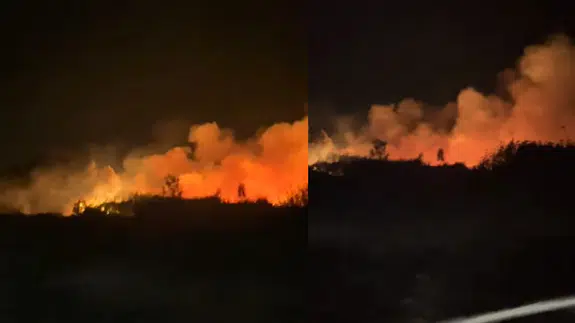 Bursa'da sazlık yangını!