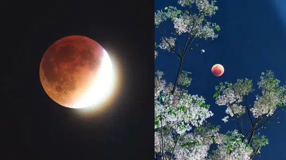 'Kanlı Ay' gökyüzünü büyüledi: Tam ay tutulması dünya genelinde ilgiyle izlendi!