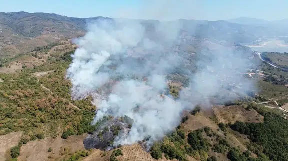 Düzce’de orman yangını: Ekipler müdahale ediyor