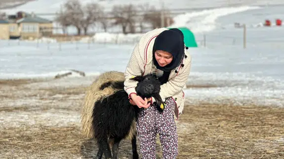 Van'da annesi öldükten sonra sahip çıkarak büyüttüğü koyunla arkadaş oldu