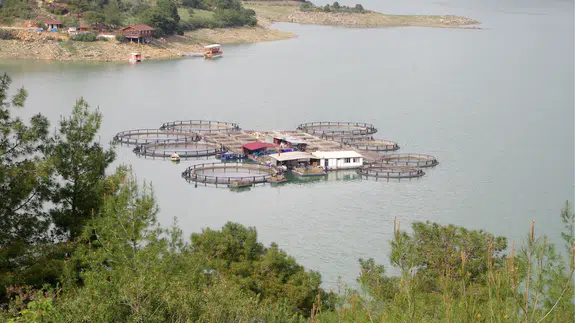 Adana Kozan Barajı’nda doluluk oranı arttı, çevre kirliliği görünür oldu