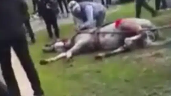 Adana’da atlara eziyet eden 2 şüpheli gözaltına alındı