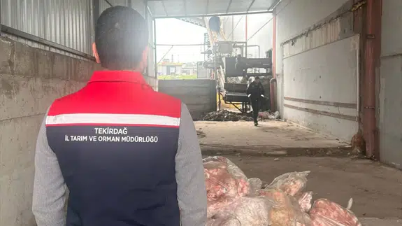 Tekirdağ Ergene'de 2 bin 800 kilogram sağlıksız hayvansal ürün imha edildi