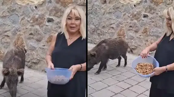 Şarkıcı Safiye Soyman Bodrum’daki evinin önüne gelen yaban domuzunu cevizle besledi