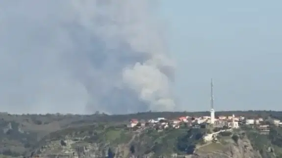 Beykoz'da ormanlık alanda yangın çıktı