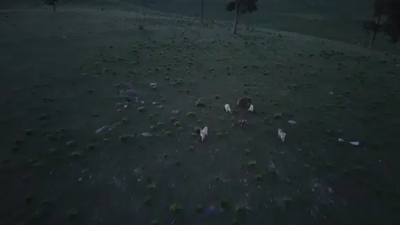 Kars Sarıkamış’ta köpeklerin kovaladığı boz ayı görüntülendi