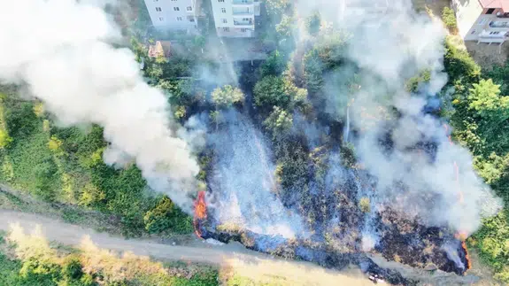 Samsun'da tarlada anız yangını