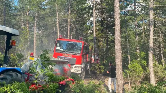 Kütahya'da yıldırım düşmesi sonucu ormanda yangın çıktı