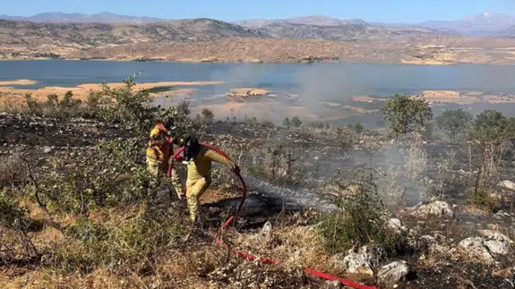 Diyarbakır'da ormanlık alanda yangın : 15 hektarlık alan zarar gördü