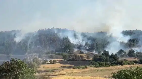 Balıkesir'de orman yangını : Ekiplerin müdahalesi sürüyor