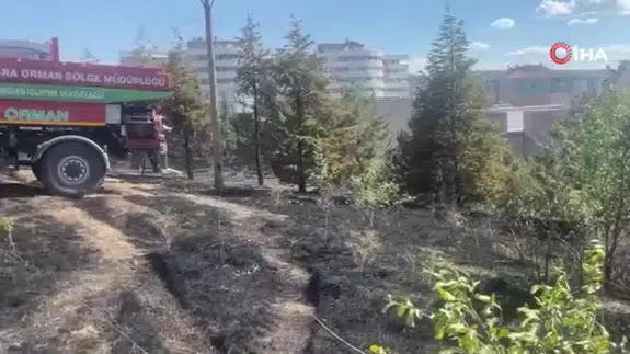 Ankara'da otluk alanda yangın çıktı