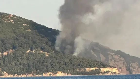 Büyükada'daki Viranbağ Plajı’nda yangın çıktı