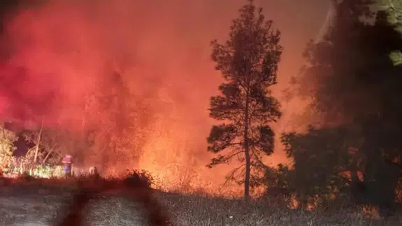 Hatay'da ormanlık alanda korkutan yangın