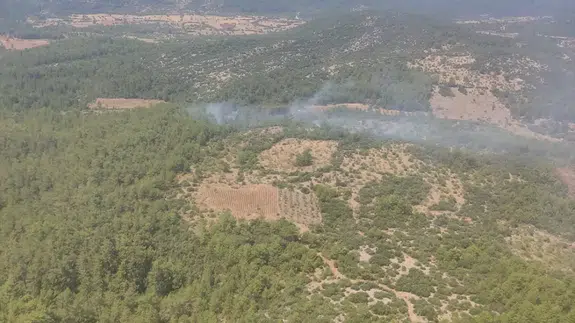 Menteşe'de çıkan orman yangını kontrol altında