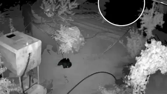Şanlıurfa'da bağ evinden hırsızlık yapan şüpheli tutuklandı