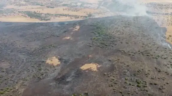 Elazığ'da ormana sıçrayan yangın 4 saatlik müdahaleyle söndürüldü
