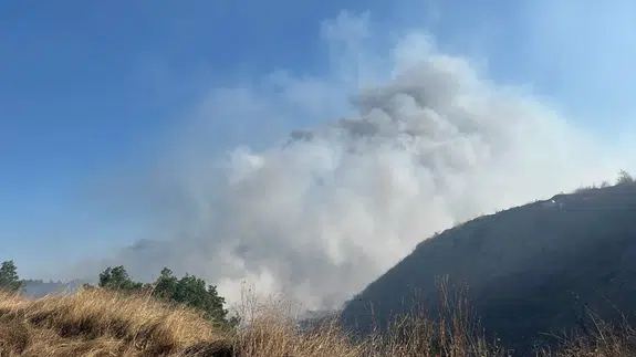 Bilecik’te çöplükte çıkan yangın ormana sıçradı