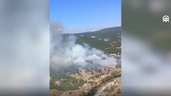 Balıkesir'de orman yangını çıktı