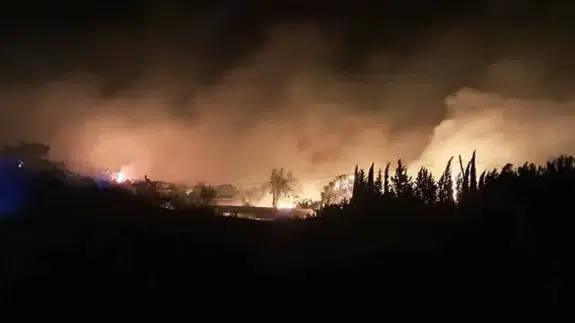 Antalya Serik'te orman yangını felaketi