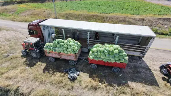Erzurum'da üretiliyor, yurdun dört bir yanına ulaşıyor! Fiyatı 100 liradan başlıyor