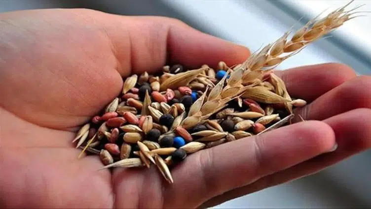 22 milyon yerel tohum üreticiyle buluştu