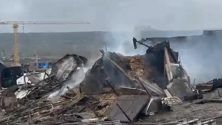 Kocaeli Dilovası'nda feci ahır yangını : Yüzlerce hayvan telef oldu!