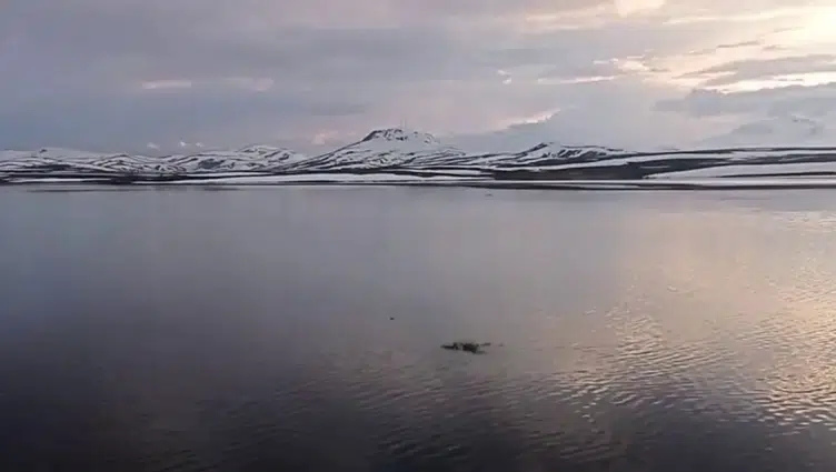 Karlar eridi, Aras Nehri coştu