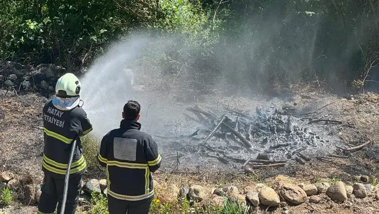 Antakya'da zeytinlik yangını : Alevler evlere sıçramadan söndürüldü