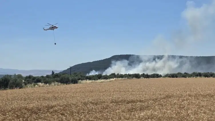 Çanakkale Ezine'de tarım arazisinde yangın çıktı