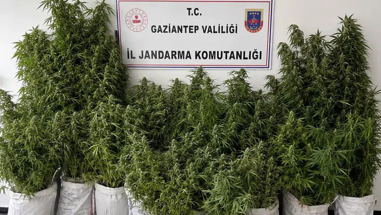 Gaziantep'te kaçakçılık ve uyuşturucu operasyonu : 46 tutuklama