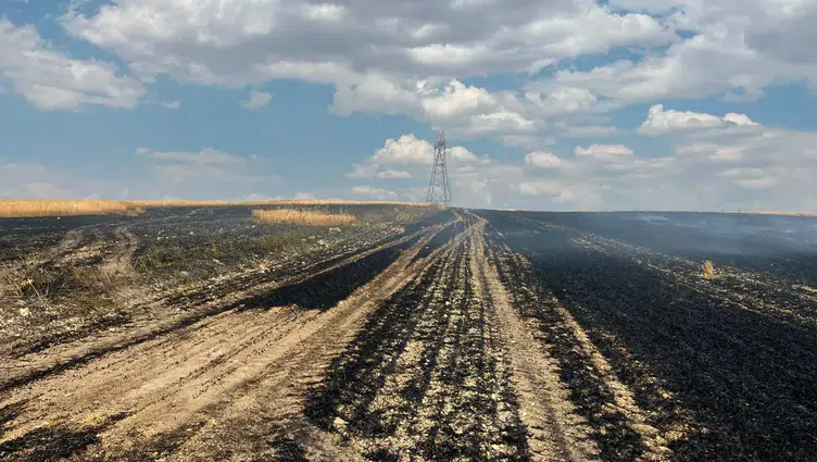 Yozgat Sorgun'da yangın : 10 dönüm ekili arazi küle döndü