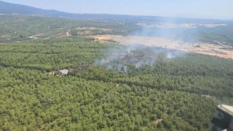 İzmir Buca'daki orman yangını kontrol altına alındı