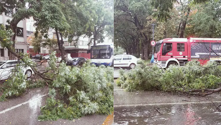 Ankara'da yağış : Ağaç devrildi, trafik aksadı