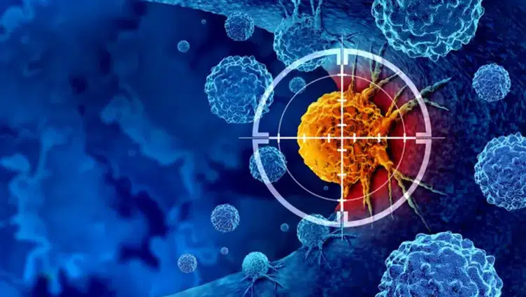 Kanserle mücadelede yeni araştırma alanı : Genomdaki küçük proteinler