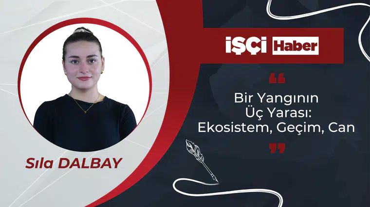 BİR YANGININ ÜÇ YARASI: EKOSİSTEM, GEÇİM, CAN