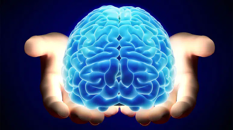 Beyin 32’de olgunlaşıyor