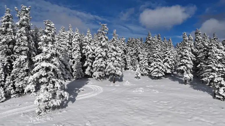 Sinop'ta kar bir metreye ulaştı: Çok sayıda köy yolu ulaşıma kapandı!