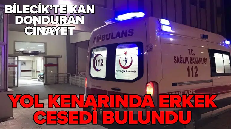Bilecik'te yol kenarında karnından bıçaklanmış erkek cesedi bulundu