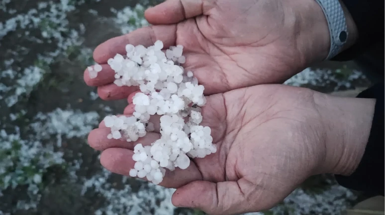 Yozgat’ta dolu sürprizi: Tarım alanları bembeyaz oldu
