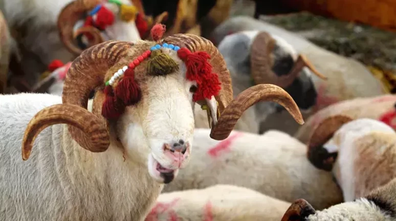 Kurban Bayramı tatili ne zaman başlıyor?