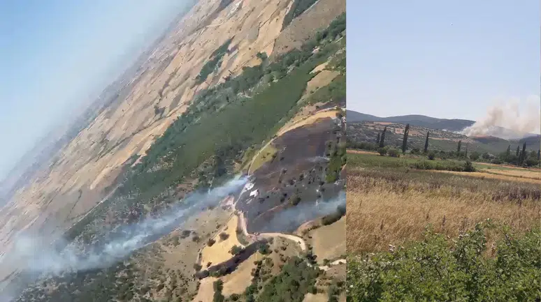 Balıkesir'de orman yangını çıktı!