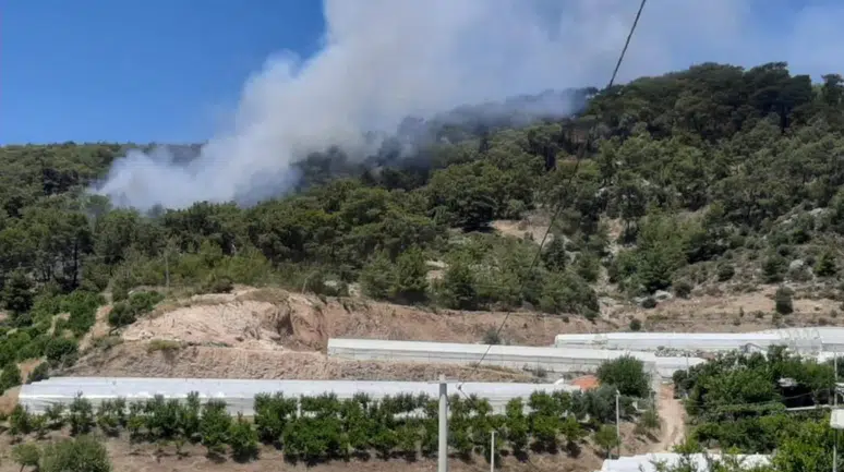 Antalya'da orman yangını