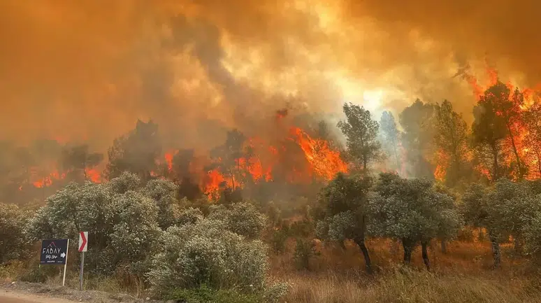 Eskişehir orman yangınından acı haber!