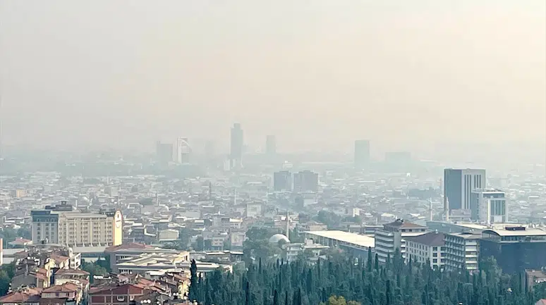 Bilecik'teki orman yangını Bursa'ya ulaştı